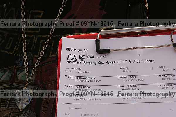 Proof 09yn-18515