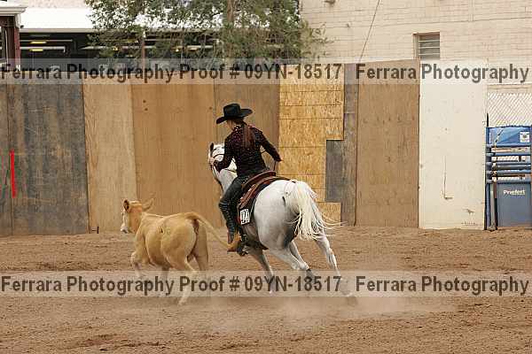 Proof 09yn-18517