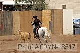09yn-18517 proof