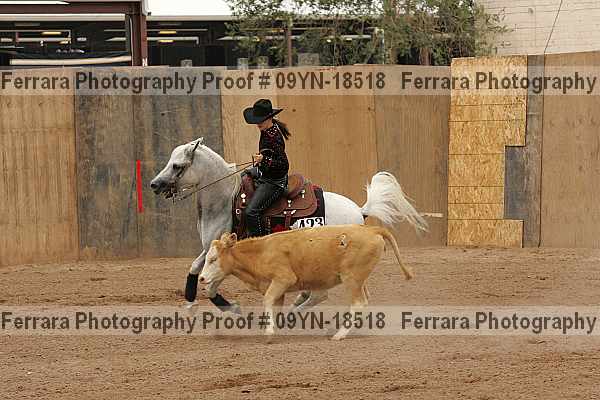 Proof 09yn-18518