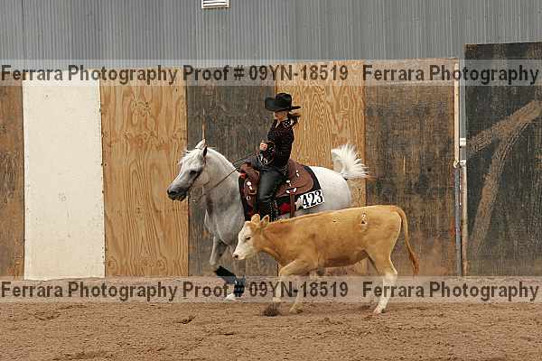Proof 09yn-18519