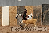 09yn-18519 proof