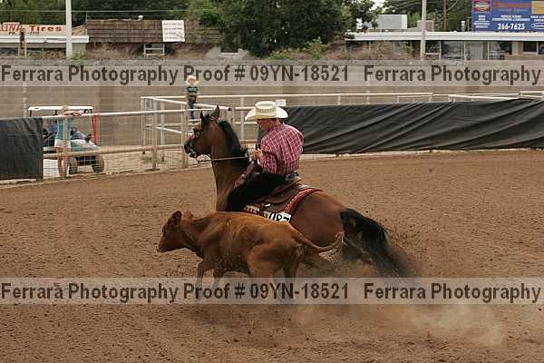 Proof 09yn-18521