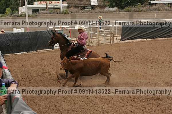 Proof 09yn-18522