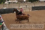 09yn-18522 proof
