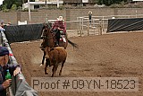 09yn-18523 proof