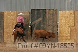 09yn-18525 proof