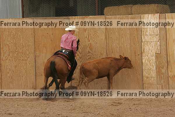 Proof 09yn-18526