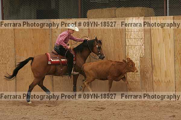 Proof 09yn-18527