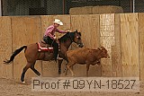 09yn-18527 proof