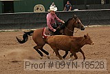 09yn-18528 proof