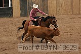 09yn-18529 proof