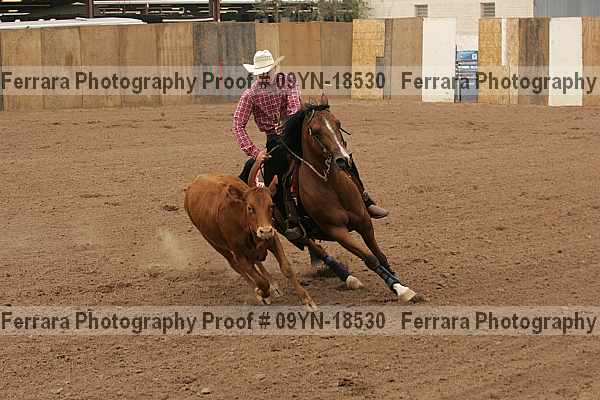 Proof 09yn-18530