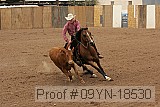 09yn-18530 proof