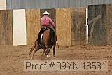 09yn-18531 proof