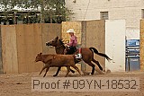 09yn-18532 proof
