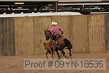 09yn-18535 proof
