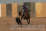 09yn-18539 proof