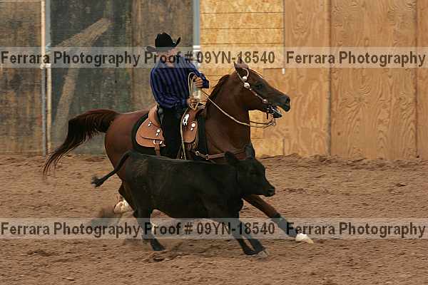 Proof 09yn-18540