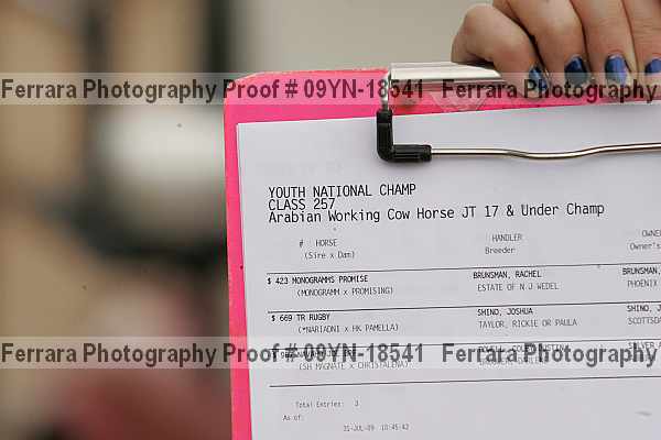 Proof 09yn-18541