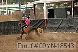 09yn-18543 proof