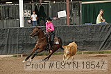 09yn-18547 proof