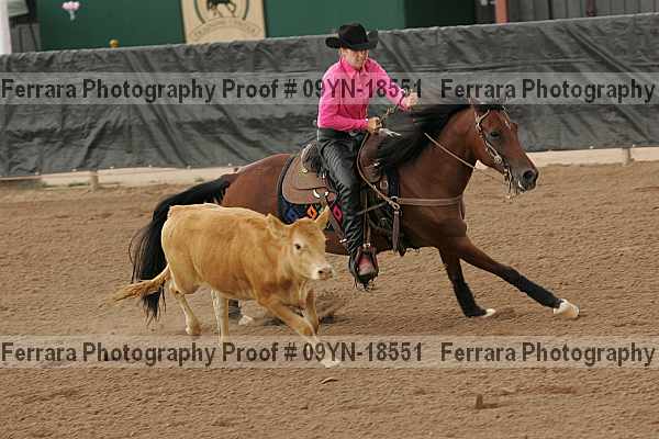 Proof 09yn-18551