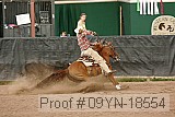 09yn-18554 proof