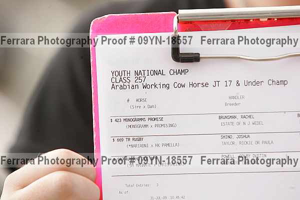 Proof 09yn-18557