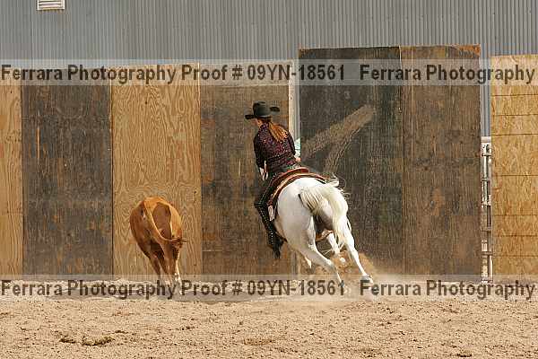 Proof 09yn-18561