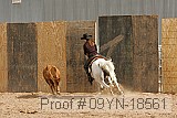09yn-18561 proof