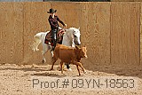 09yn-18563 proof