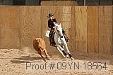 09yn-18564 proof