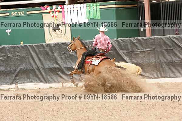 Proof 09yn-18566