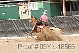 09yn-18566 proof
