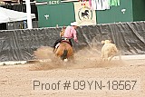 09yn-18567 proof