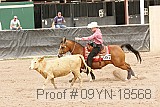 09yn-18568 proof