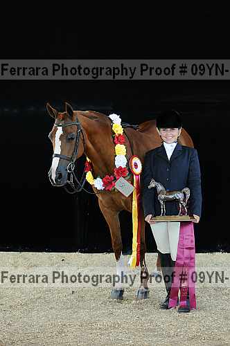 Proof 09yn-15711