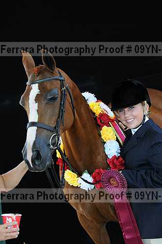 Proof 09yn-15721