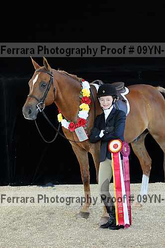 Proof 09yn-15770
