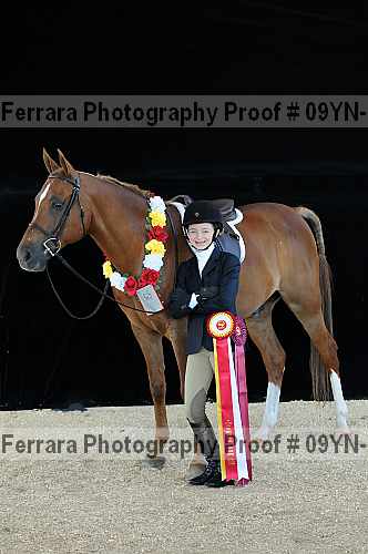Proof 09yn-15771