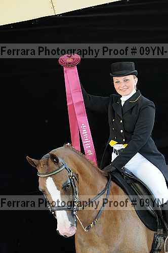 Proof 09yn-15806