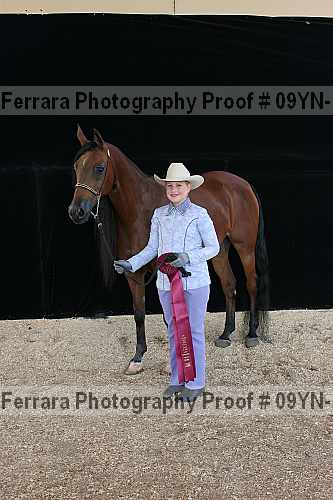 Proof 09yn-15833