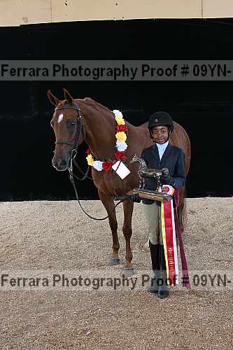 Proof 09yn-15850