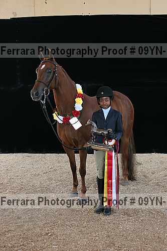 Proof 09yn-15854
