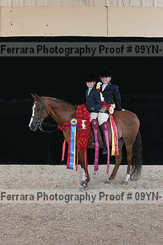 Proof 09yn-15856