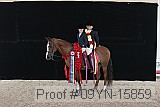 09yn-15859 proof