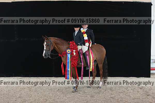 Proof 09yn-15860