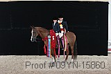 09yn-15860 proof