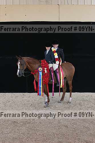 Proof 09yn-15861